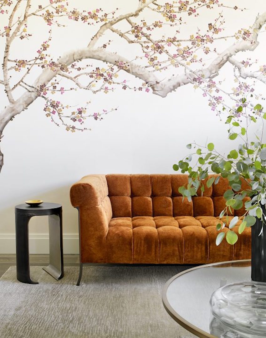 Adam Hunter Designs Like A Star