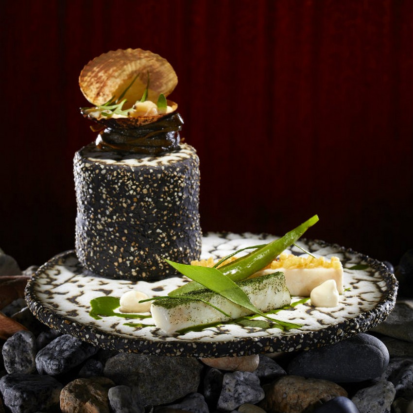 CovetED Magazine's New Issue: Work From Home