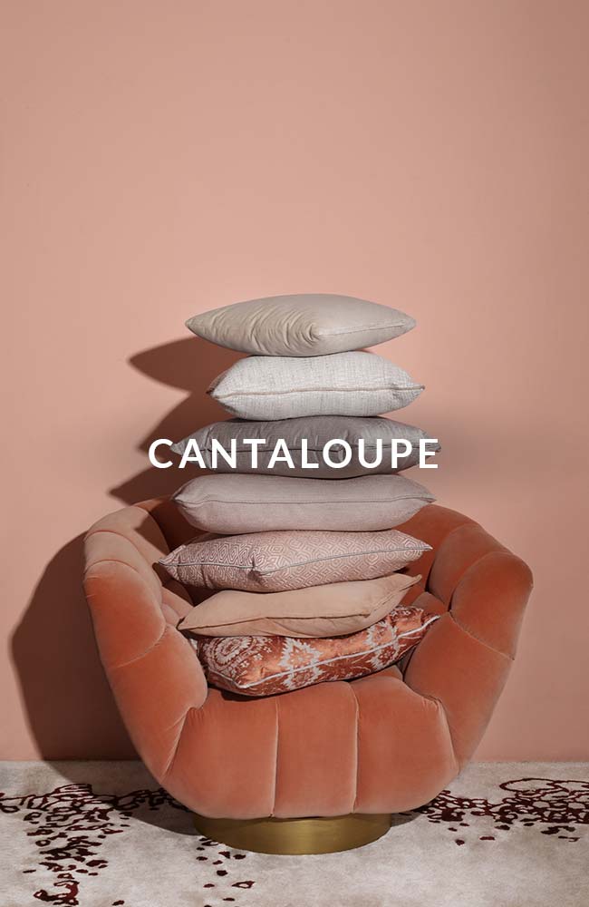 cantaloupe Eclectic Clutter New Vintage