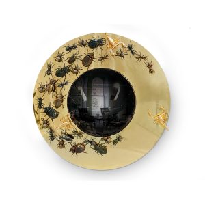 Metamorphosis Convex
